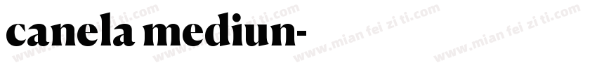 canela mediun字体转换
